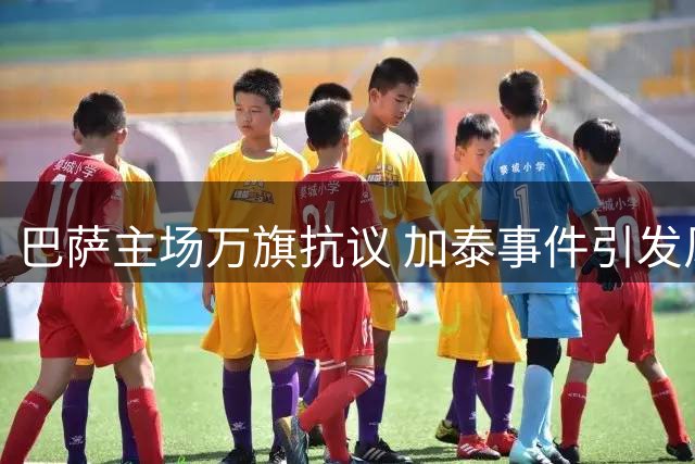 巴萨主场万旗抗议 加泰事件引发风波
