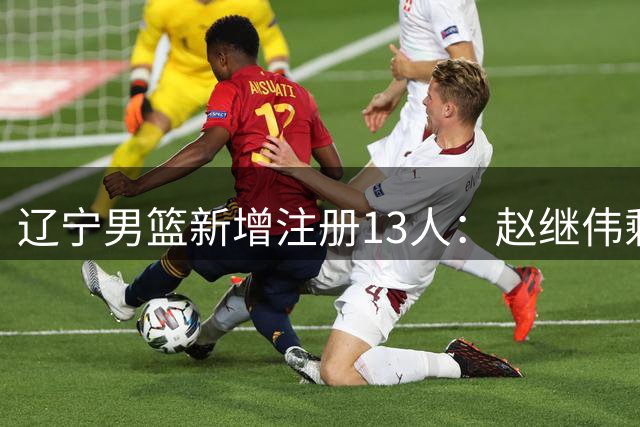 辽宁男篮新增注册13人：赵继伟剩3年顶薪 付豪续约2年顶薪